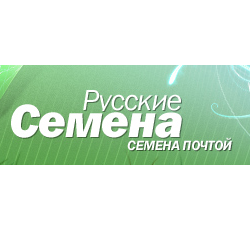 Русские Семена